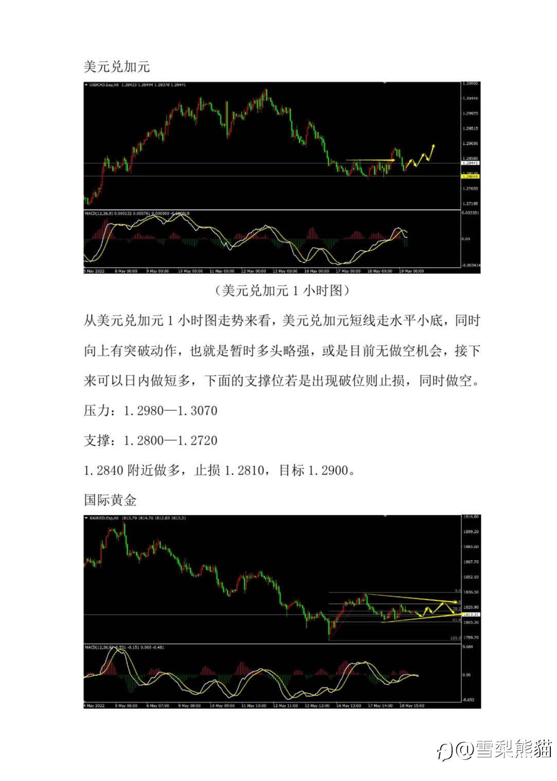 19/5拓利汇评