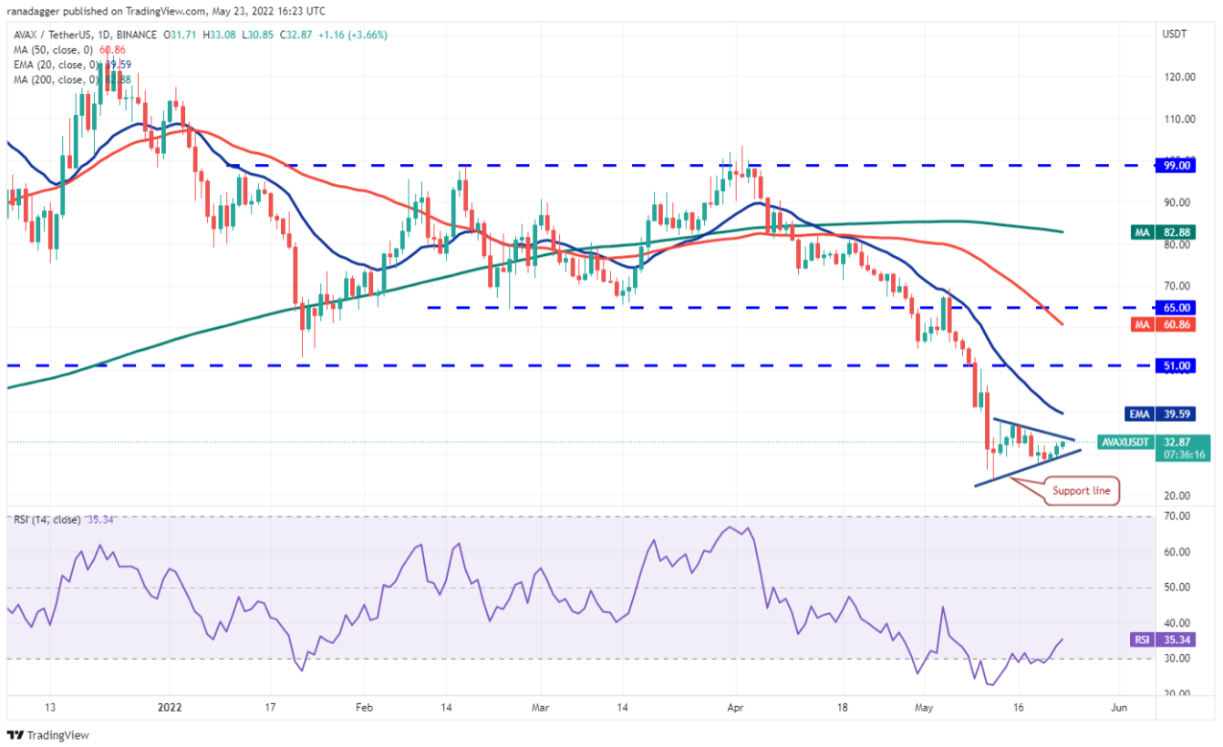 Phân tích kỹ thuật ngày 24 tháng 5: BTC, ETH, BNB, XRP, ADA, SOL, DOGE, DOT, AVAX, SHIB