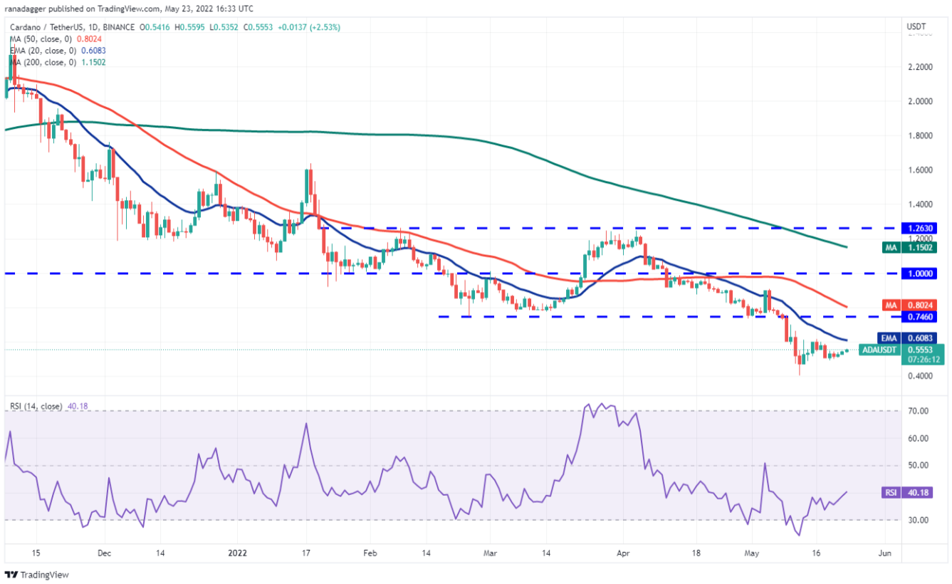 Phân tích kỹ thuật ngày 24 tháng 5: BTC, ETH, BNB, XRP, ADA, SOL, DOGE, DOT, AVAX, SHIB