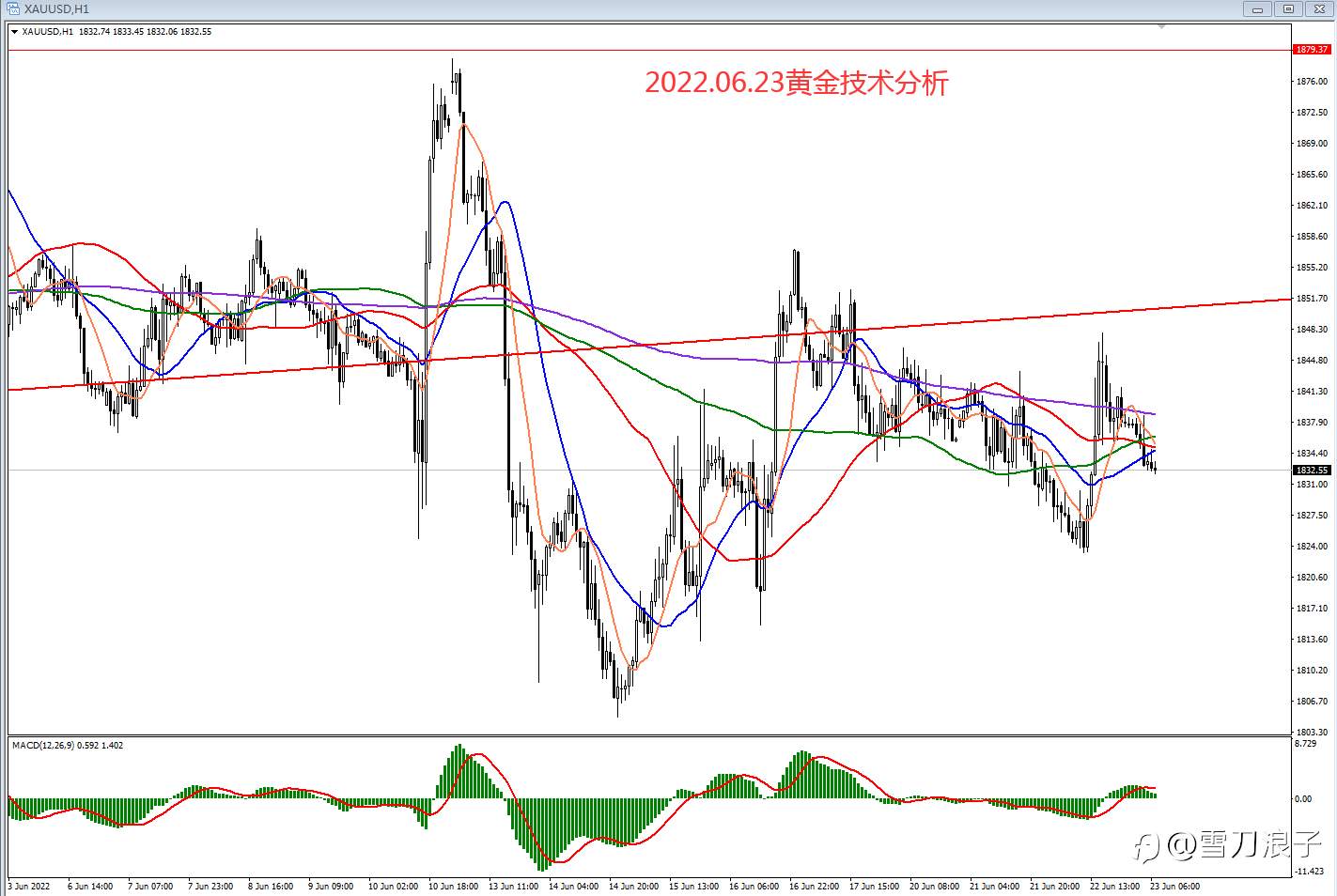 2022.06.23黄金技术分析