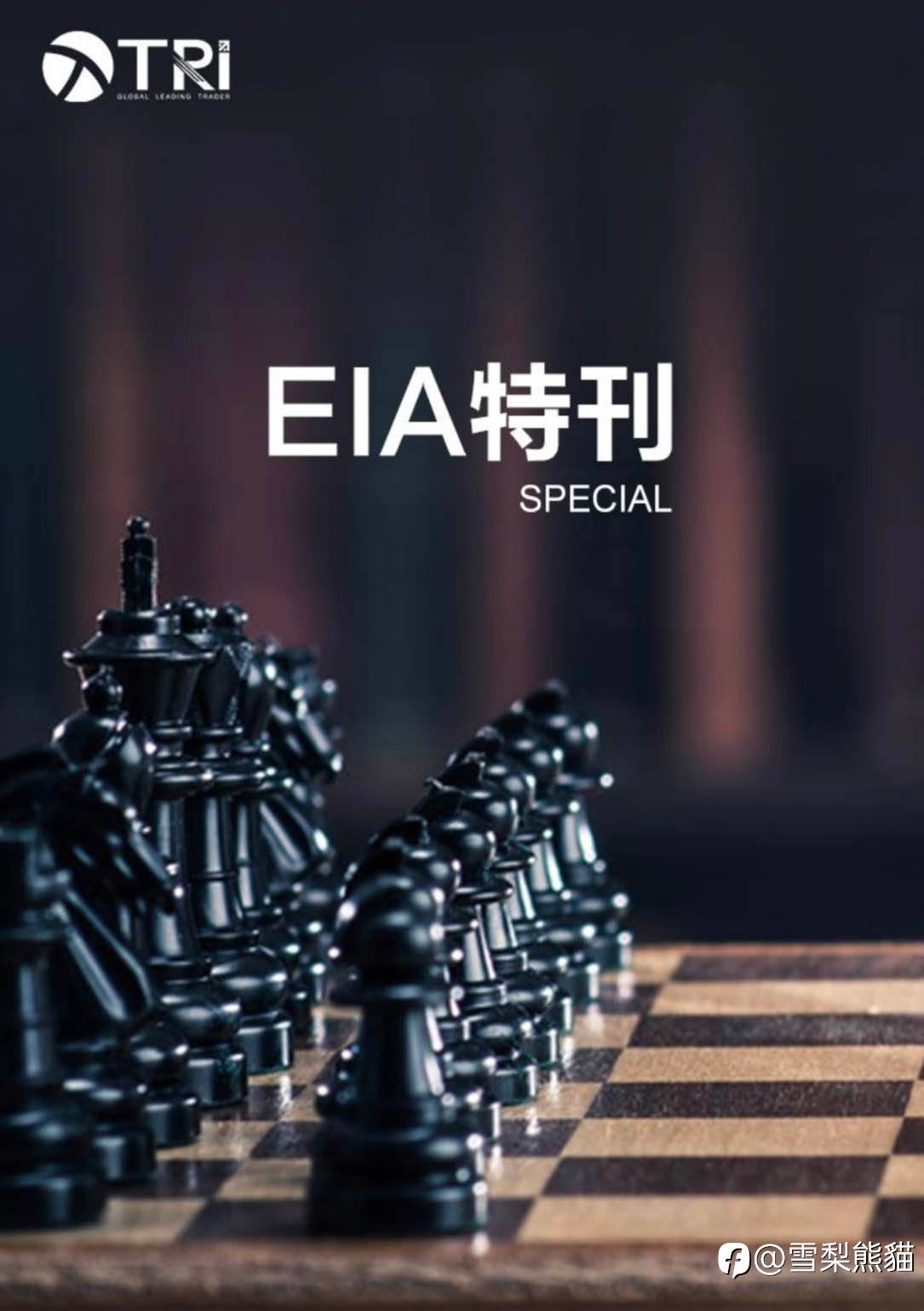 拓利23/6 EIA特刊