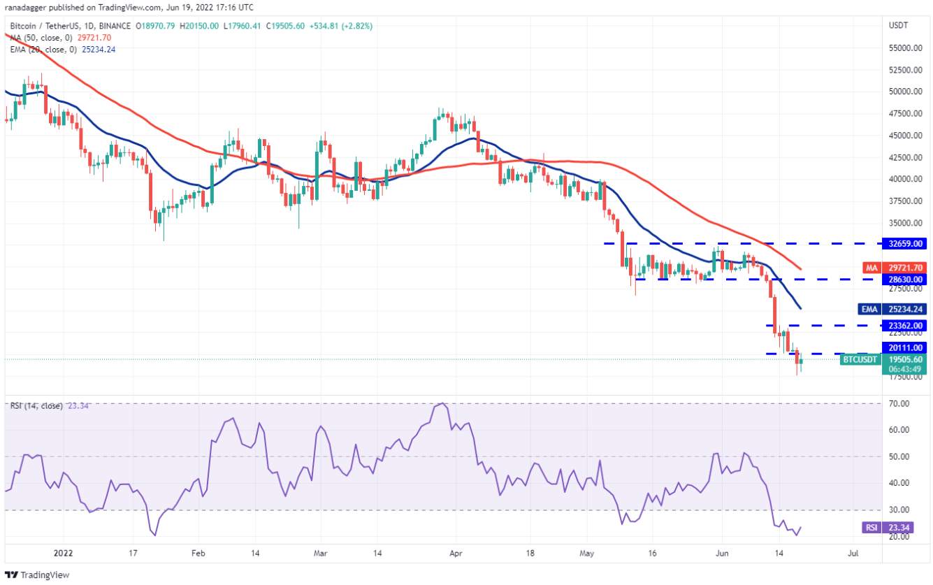 TOP 5 đồng coin đáng chú ý nhất trong tuần này: BTC, SOL, LTC, LINK, BSV