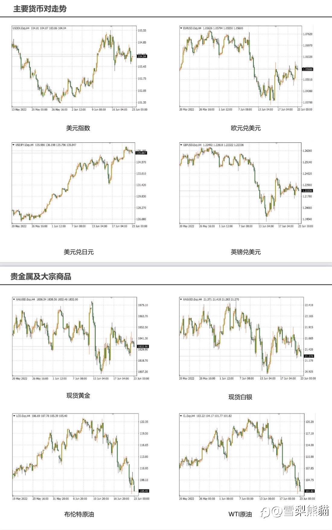 23/6拓利日报