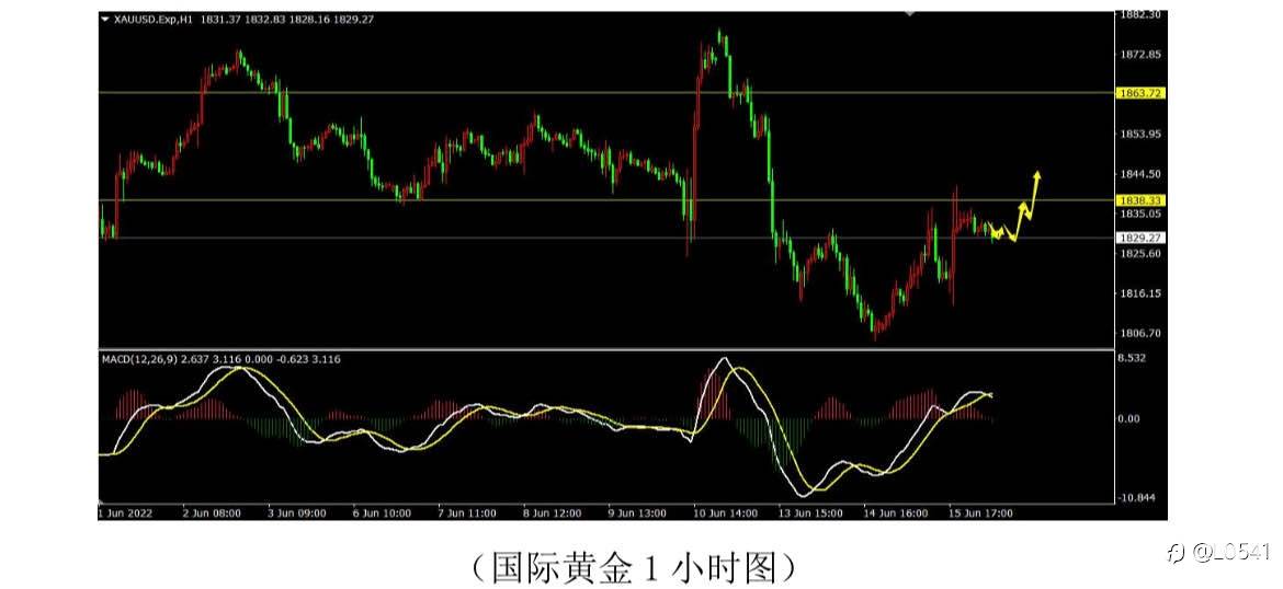 纽美 欧美 黄金 白银 分析✅