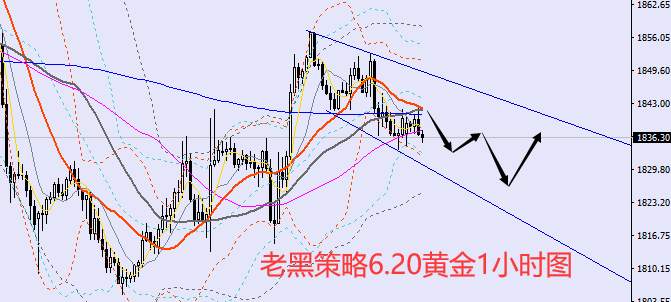 老黑策略：6.20外汇、黄金、原油分析策略