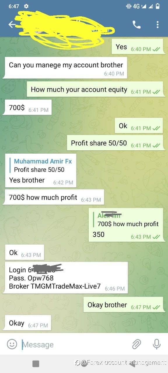 feed-image-1