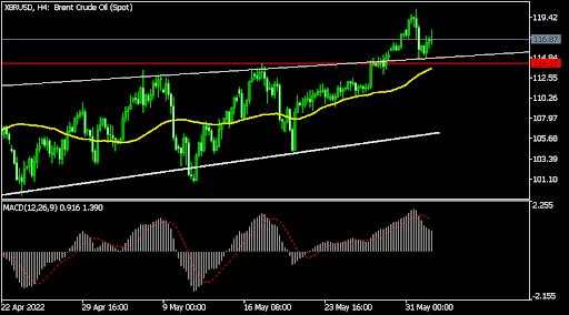 Crude oil rallies ahead of OPEC+ meeting and inventory data