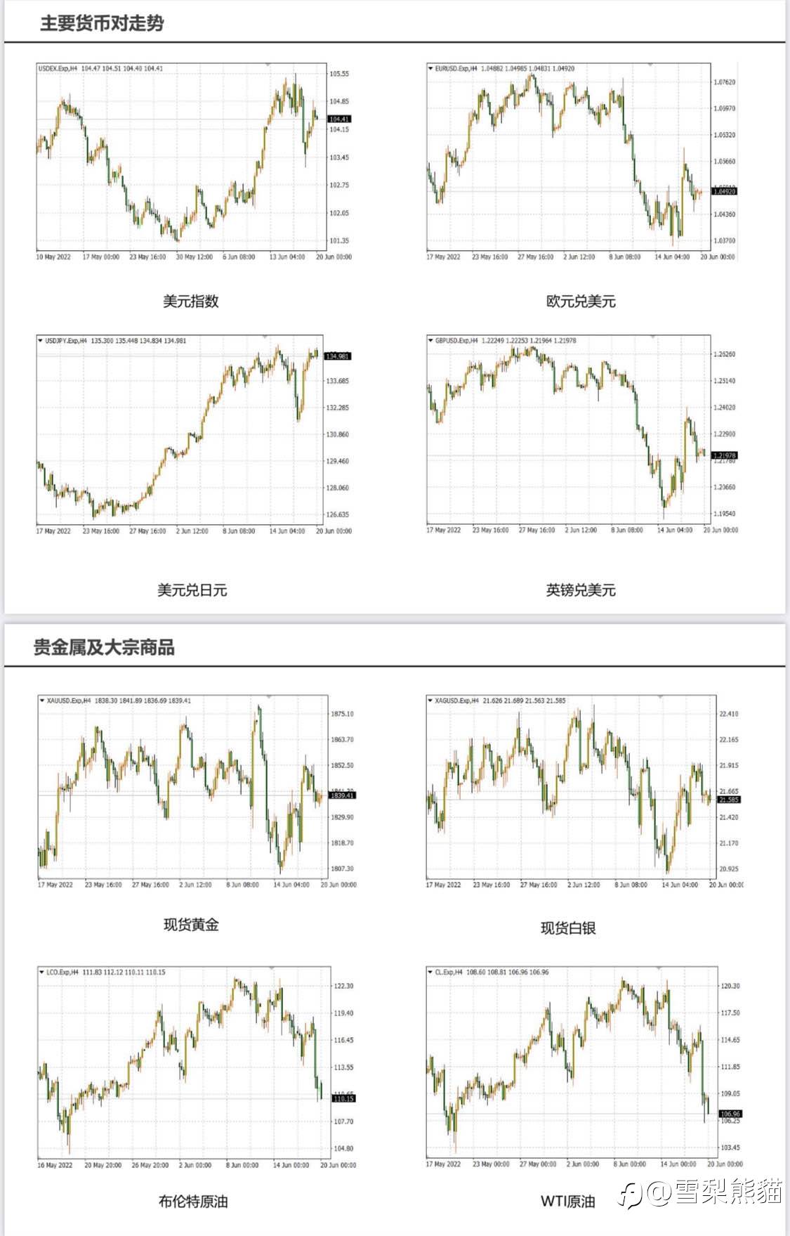 20/6拓利日报