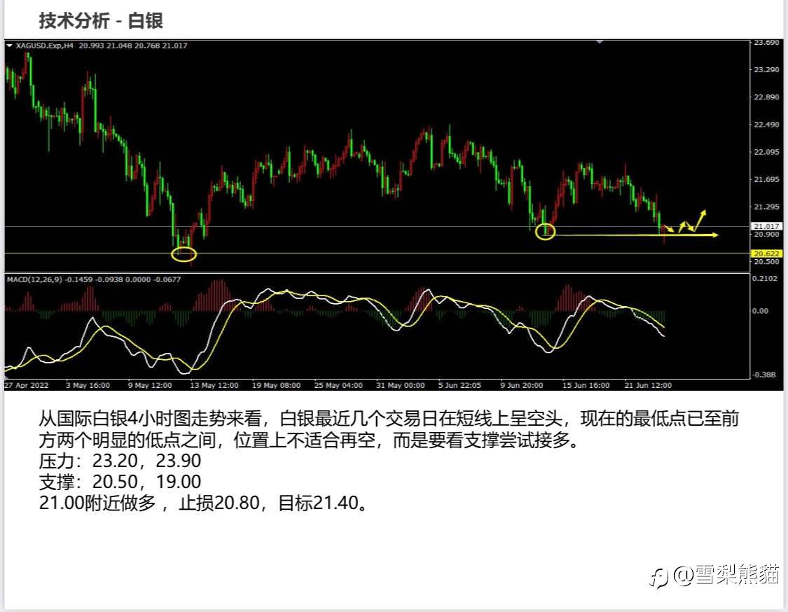 24/6拓利日报