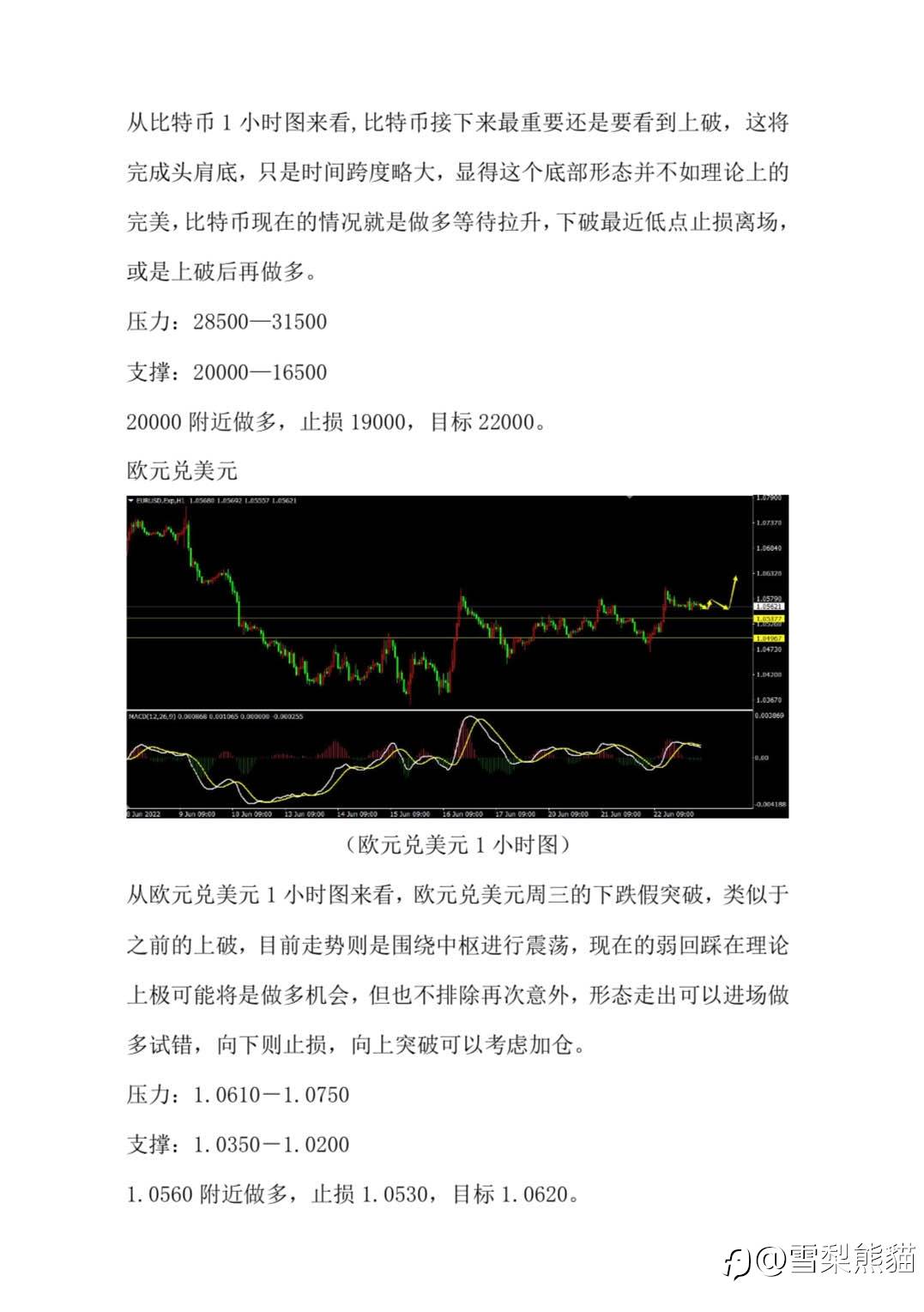 23/6拓利汇评