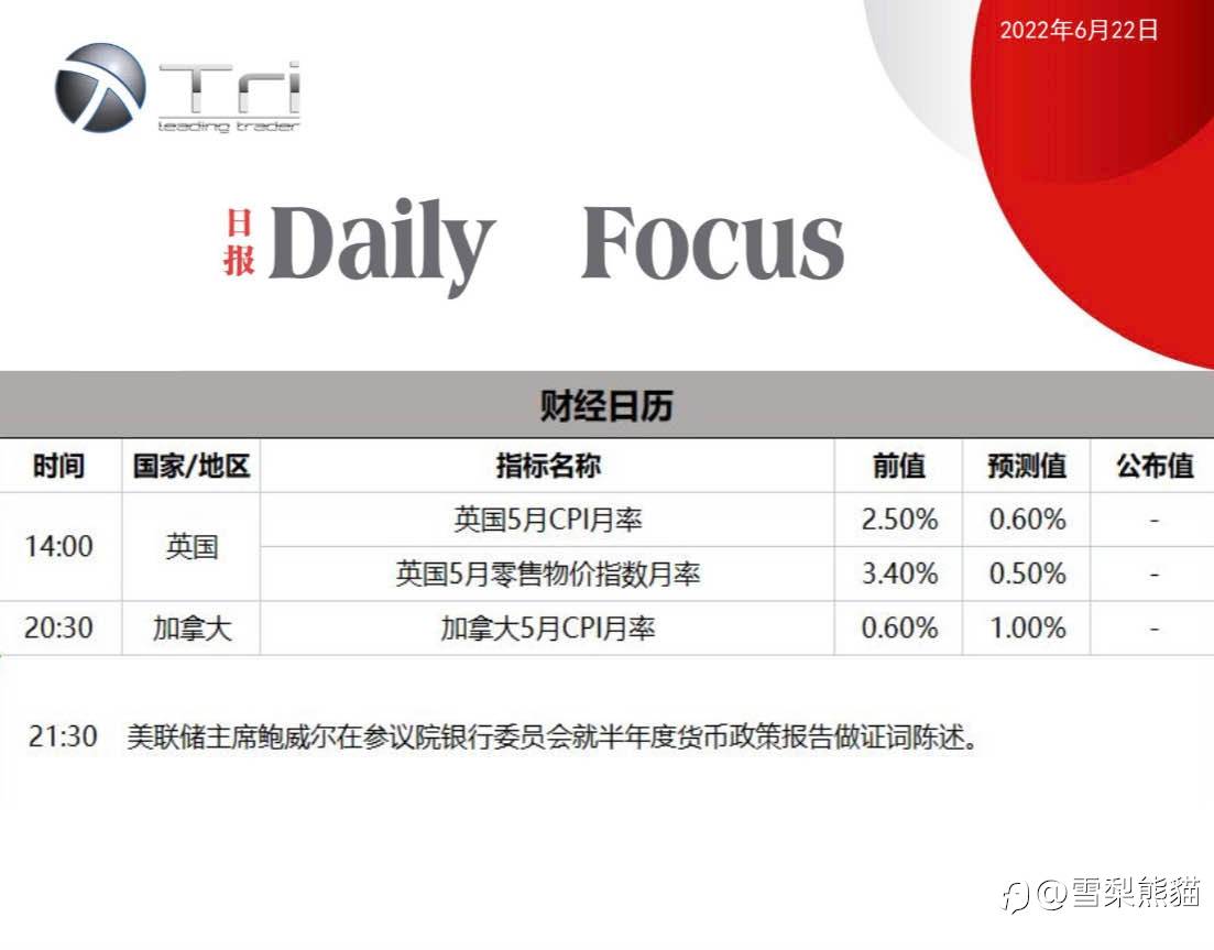 22/6拓利日报