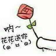 最后一天咯😬机会之窗！
