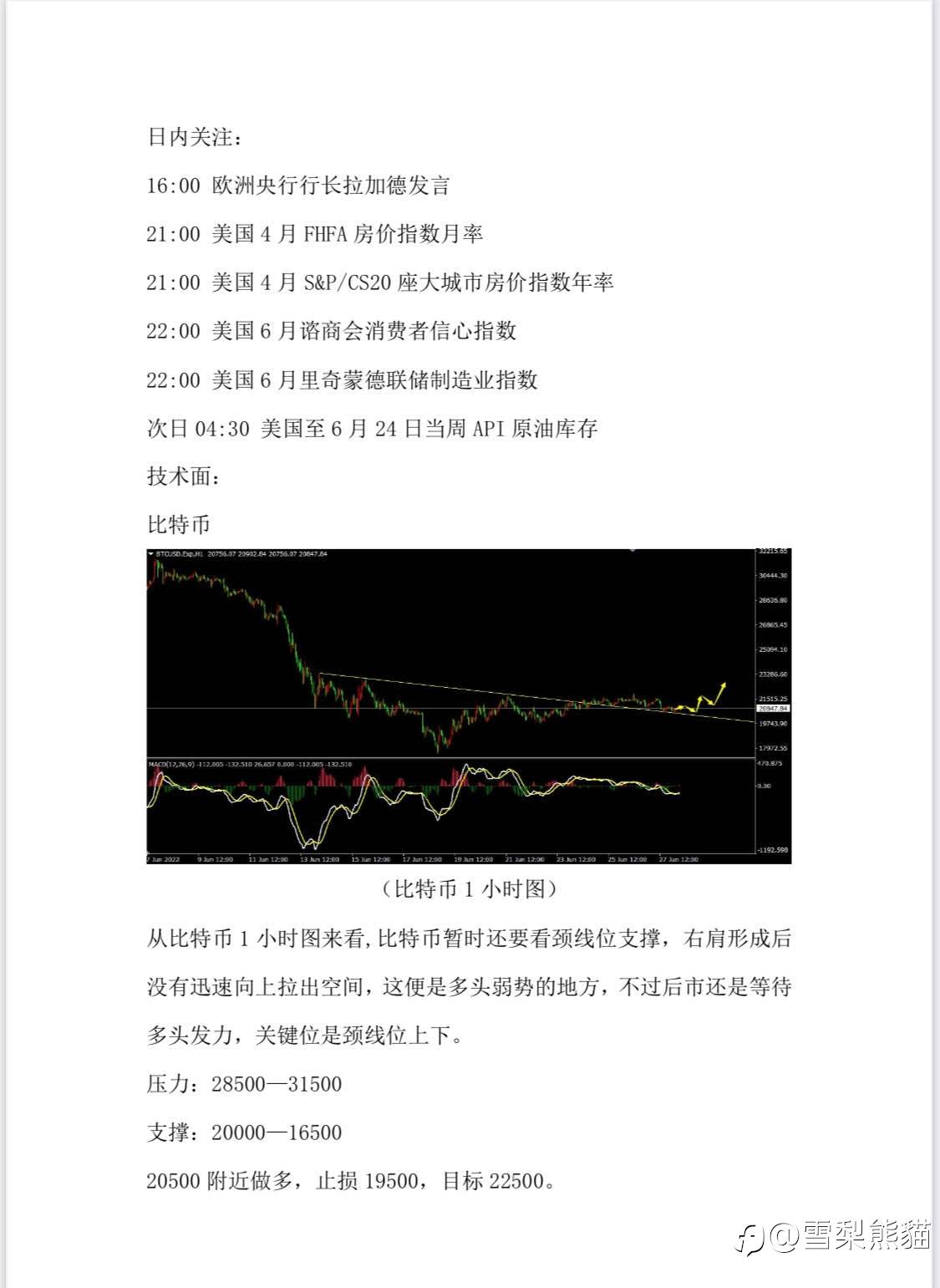 28/6拓利汇评