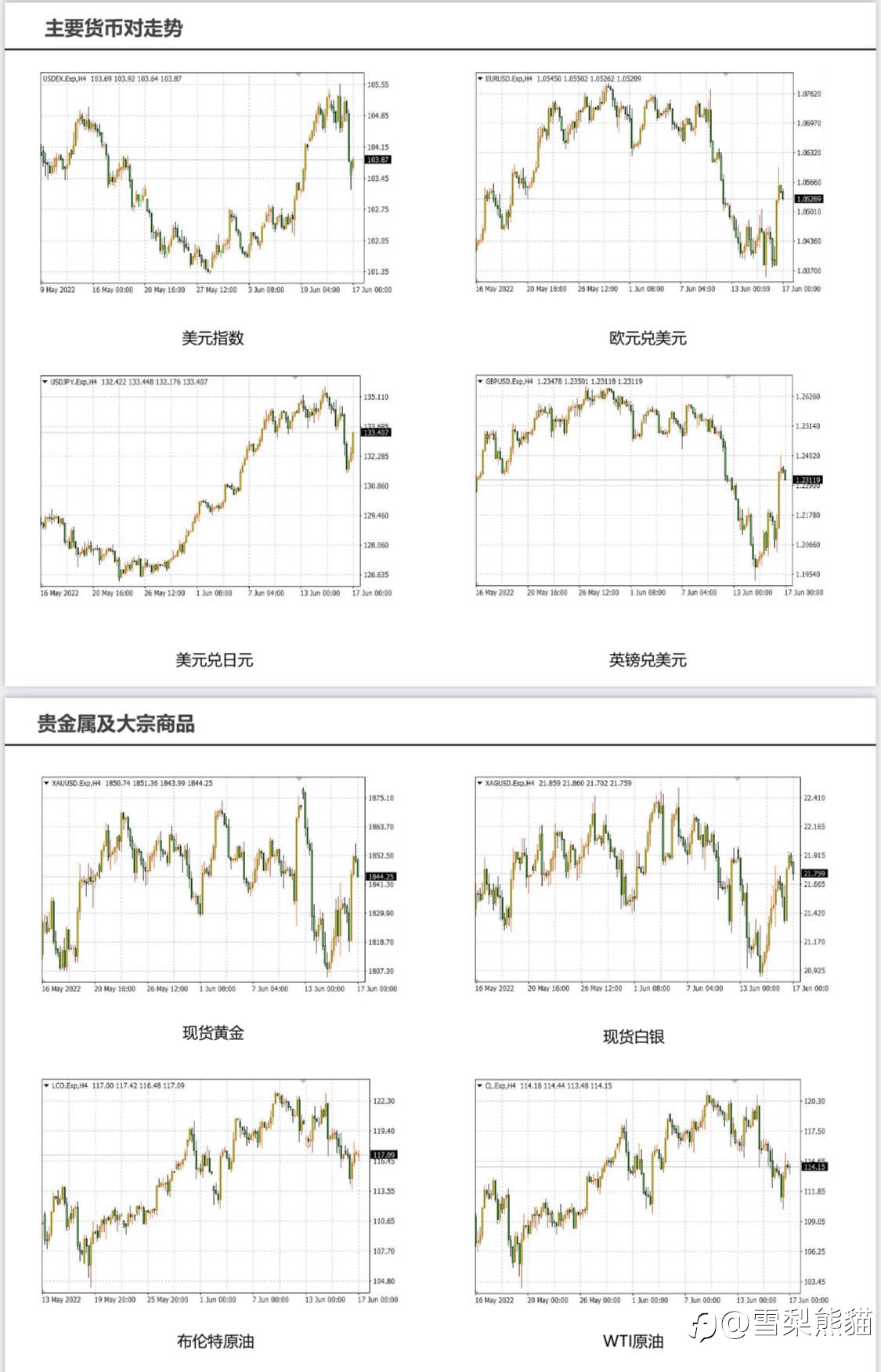 17/6拓利日报