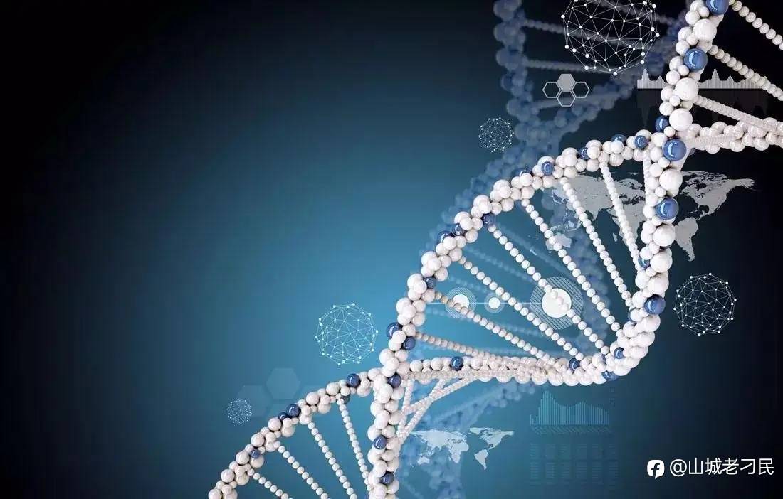 为什么年轻人风险控制能力差？生理学来帮你解释！