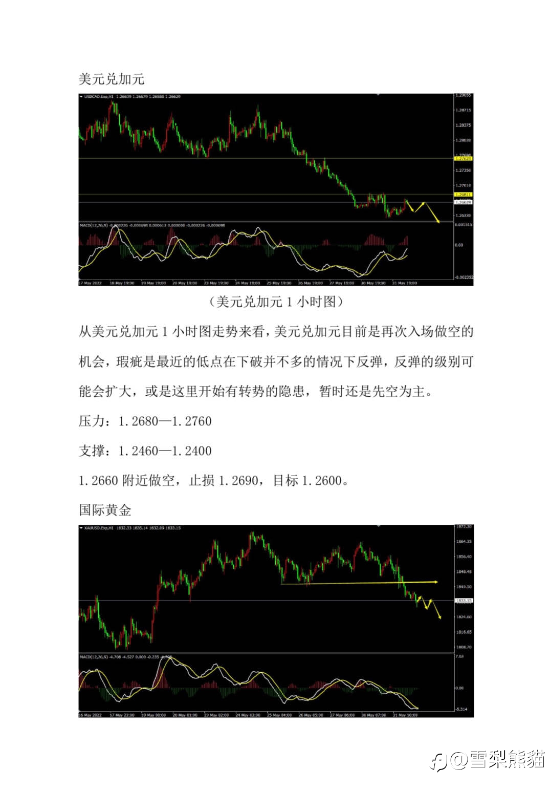 1/6拓利汇评