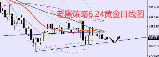 老黑策略：6.24外汇、黄金、原油分析策略