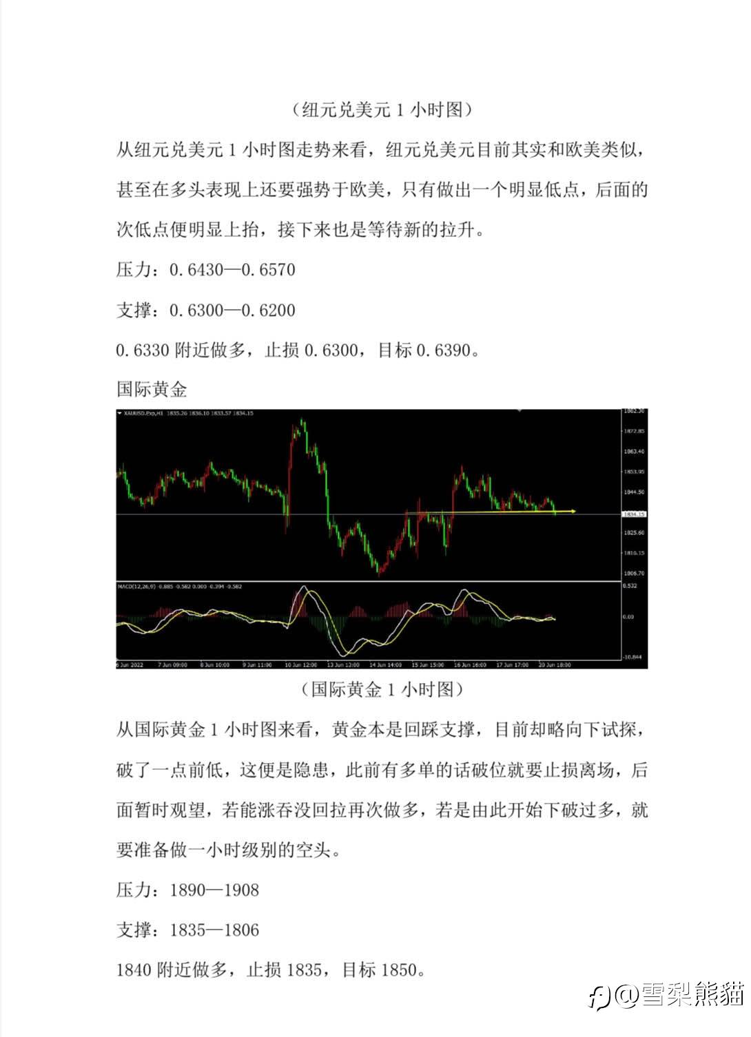 21/6拓利汇评