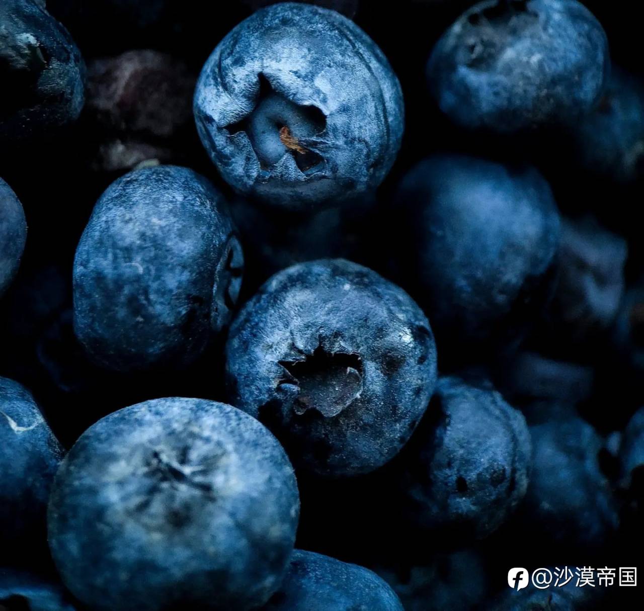2022.6.24外汇每日交易策略