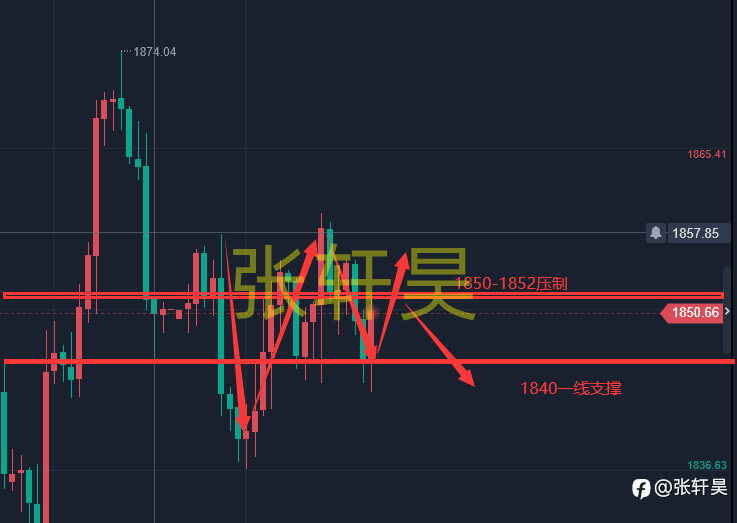 张轩昊:6.9黄金空单这瓜熟了 你跟上了吗?