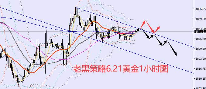 老黑策略：6.21外汇、黄金、原油分析策略