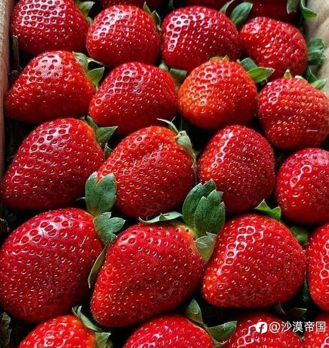 全球互联网时代,为什么几乎见不到日本的身影?