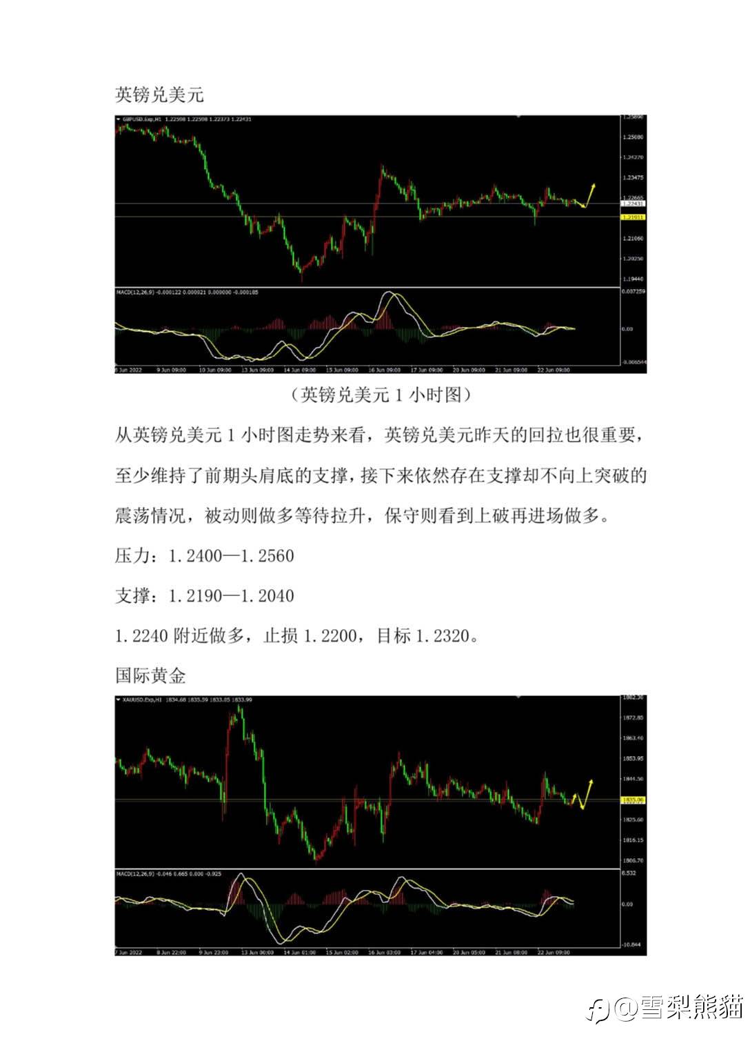 23/6拓利汇评