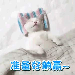 feed-image-0