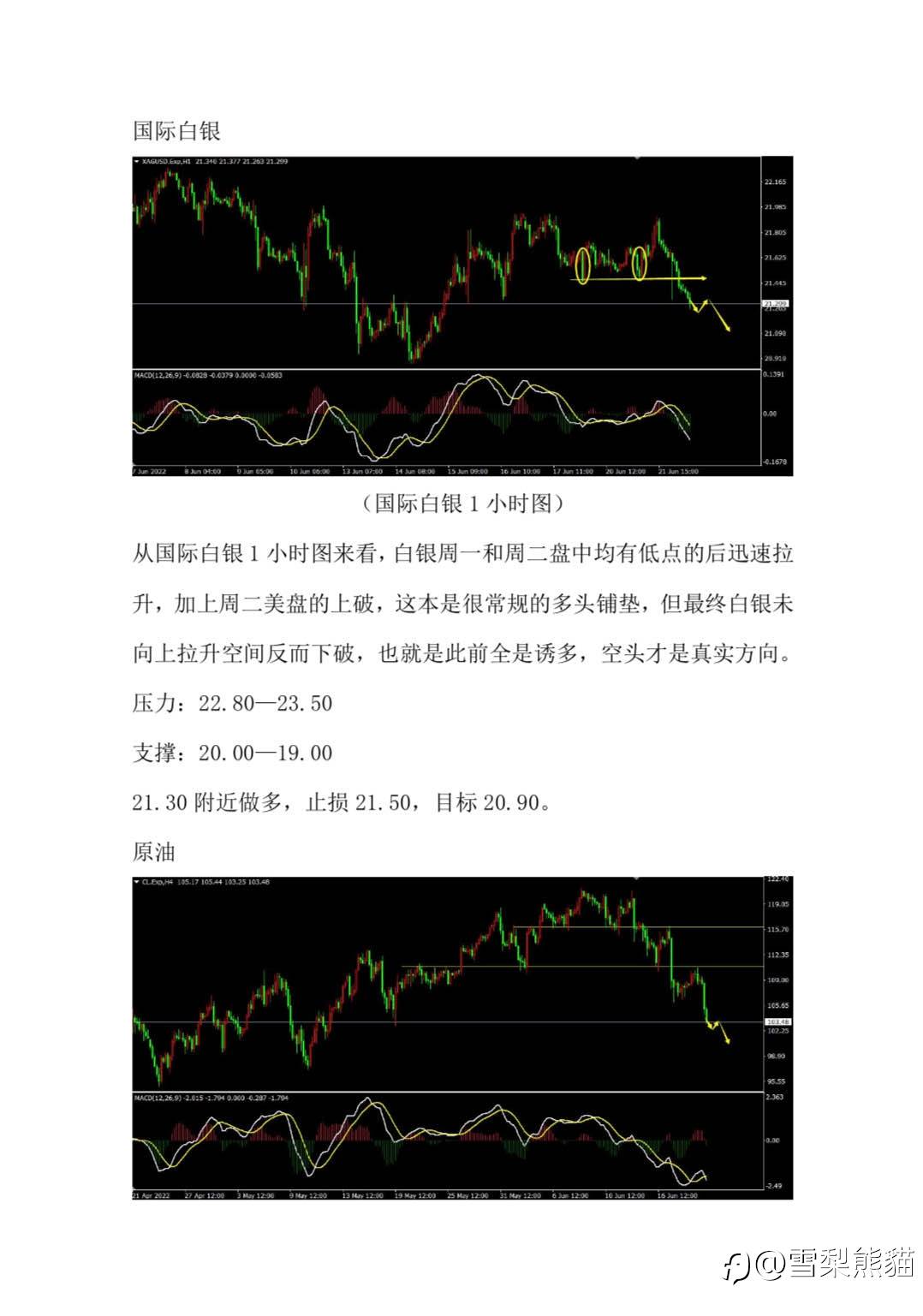 22/6拓利汇评