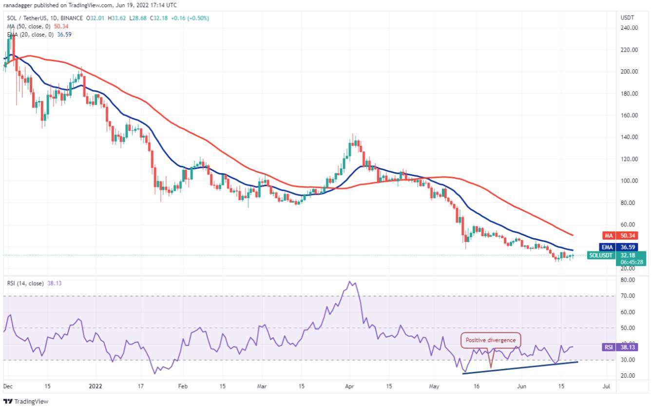 TOP 5 đồng coin đáng chú ý nhất trong tuần này: BTC, SOL, LTC, LINK, BSV