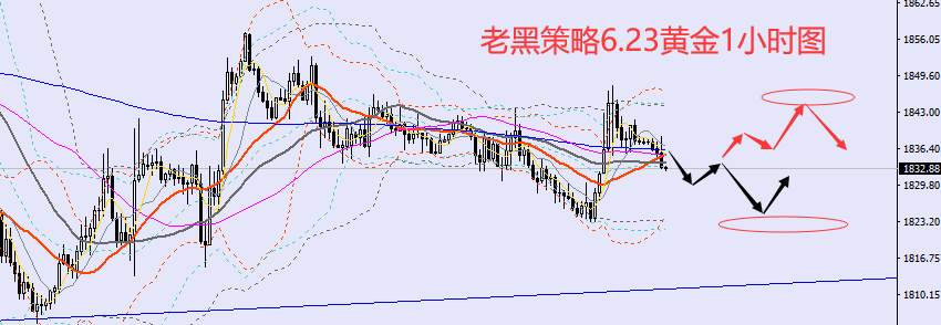 老黑策略：6.23外汇、黄金、原油分析策略