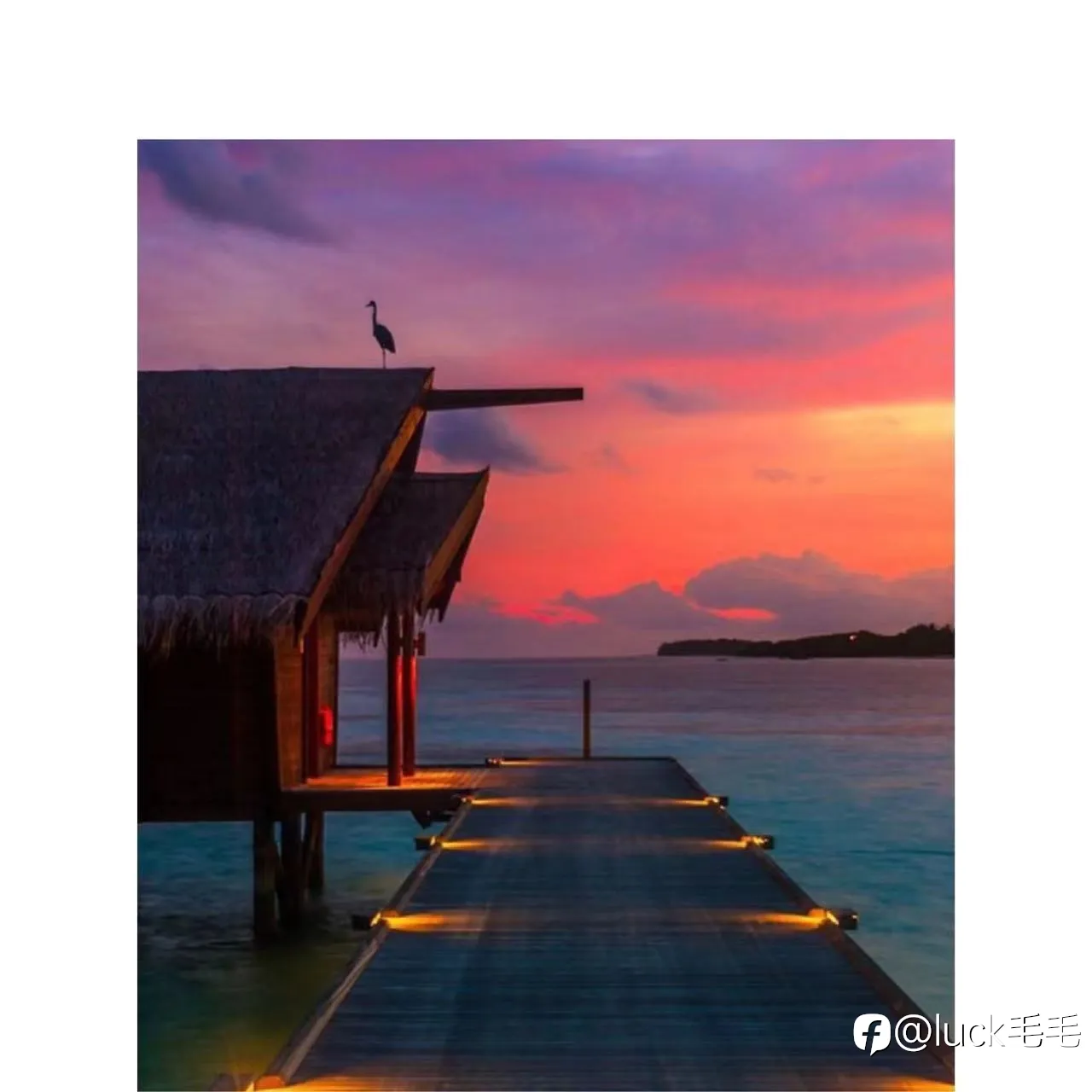feed image