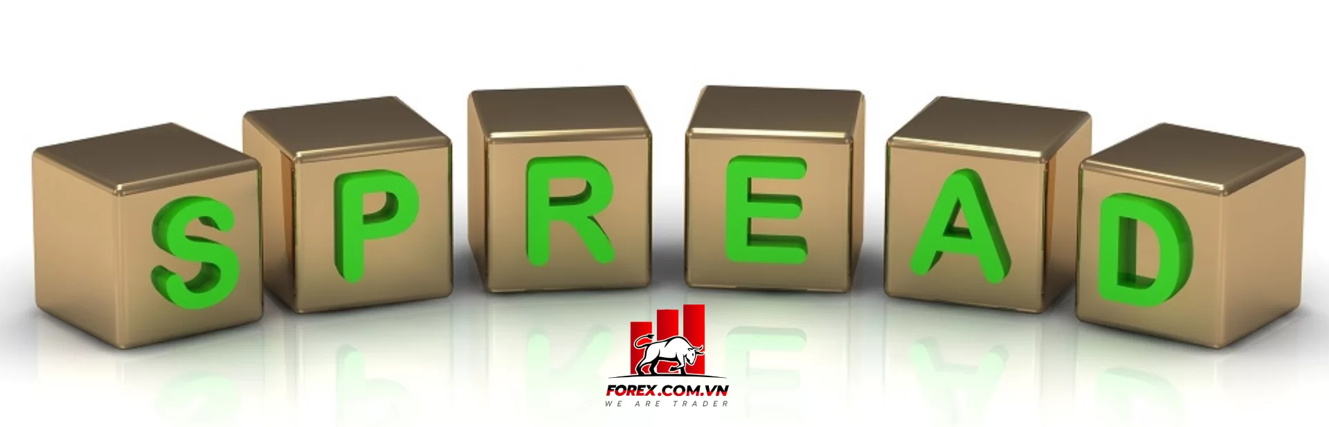 Có nên chọn sàn Forex có Spread thấp nhất?