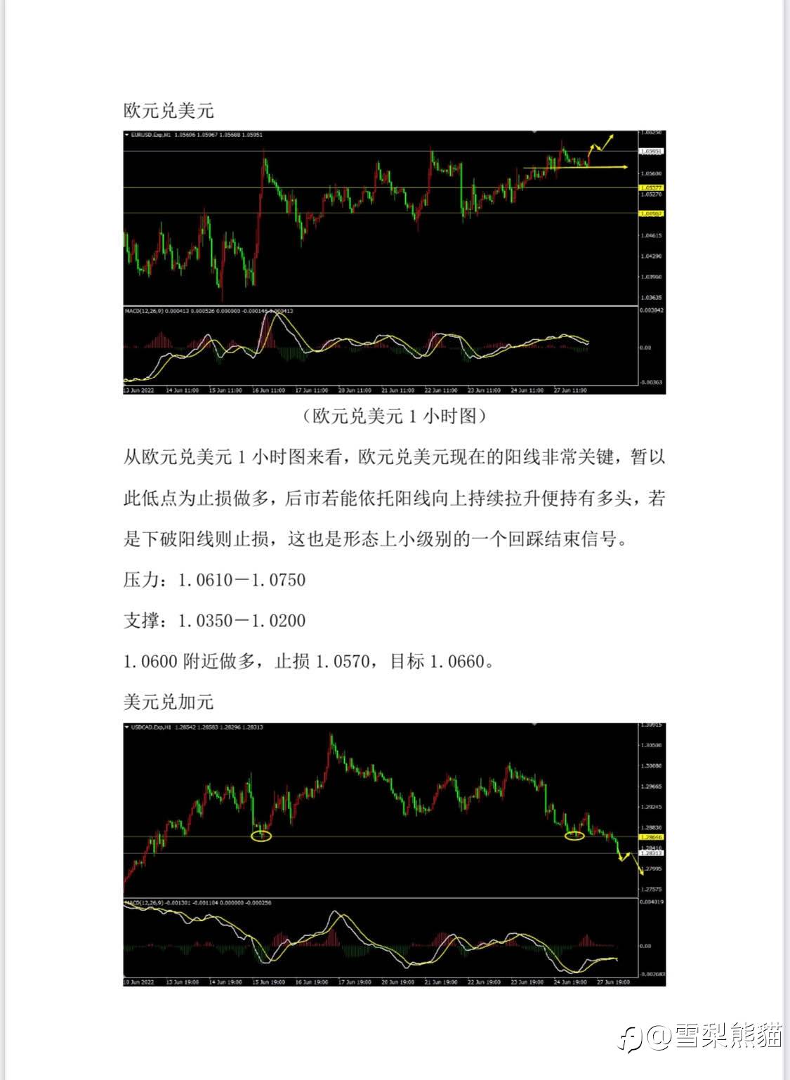28/6拓利汇评