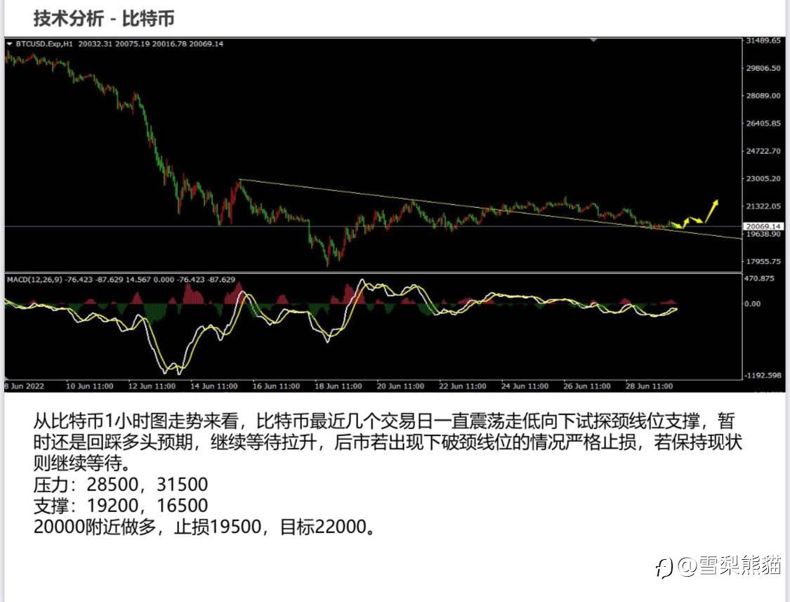 30/6拓利日报