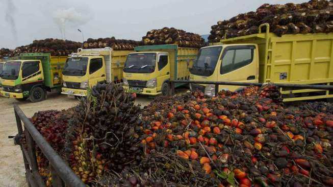 Telusuri Tata Kelola Bisnis Industri Kelapa Sawit, BPKP-Kejagung Sepakat Bentuk Tim Khusus