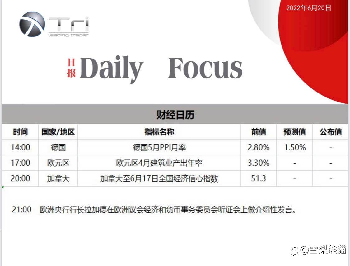 20/6拓利日报