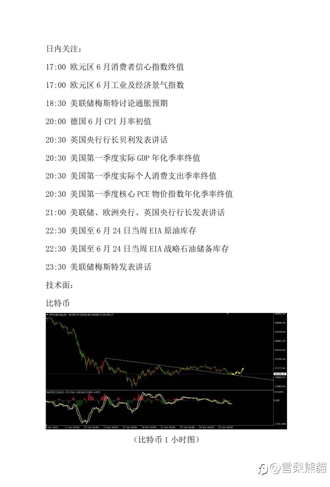 29/6拓利汇评