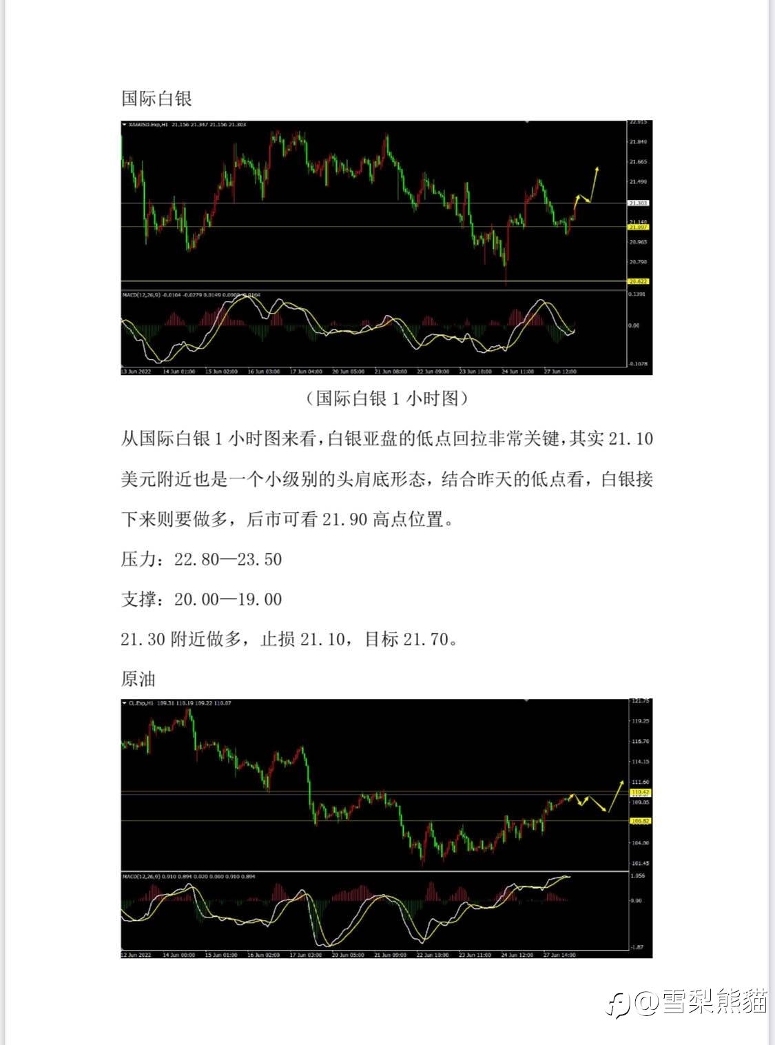 28/6拓利汇评