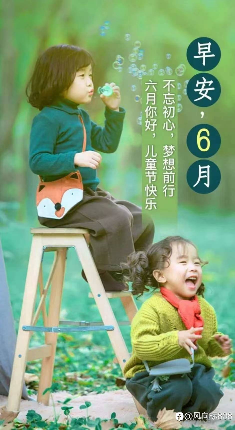 feed-image-1