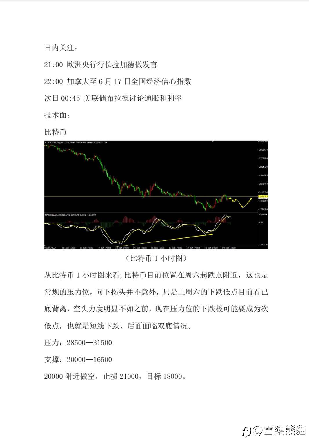 20/6拓利汇评