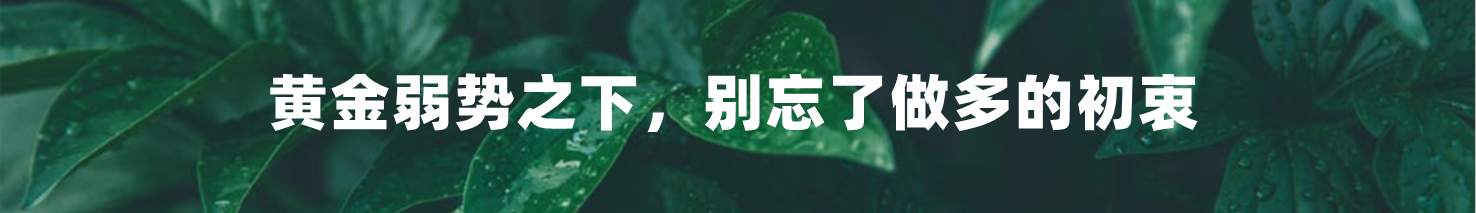 黄金弱势之下，别忘了做多的初衷