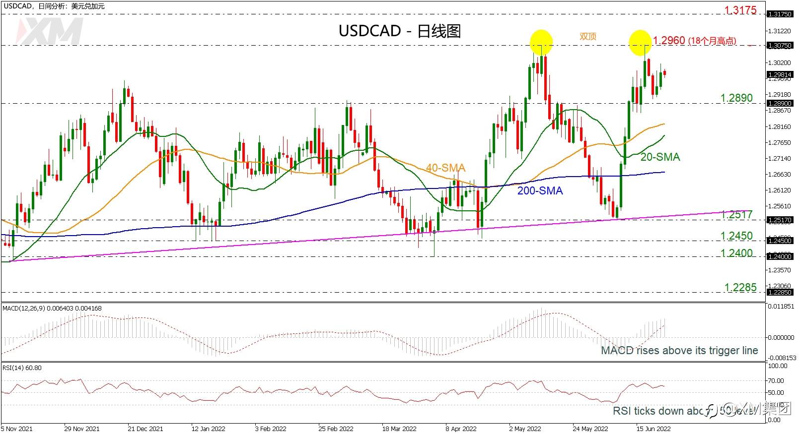 技术分析 – USDCAD在双顶1.2960下方疲软