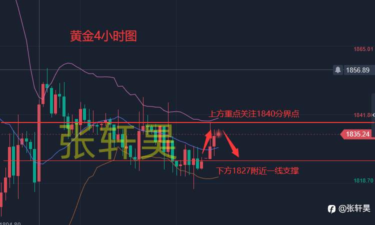 张轩昊：黄金低位震荡不改颓势，原油企稳迎来反弹之机