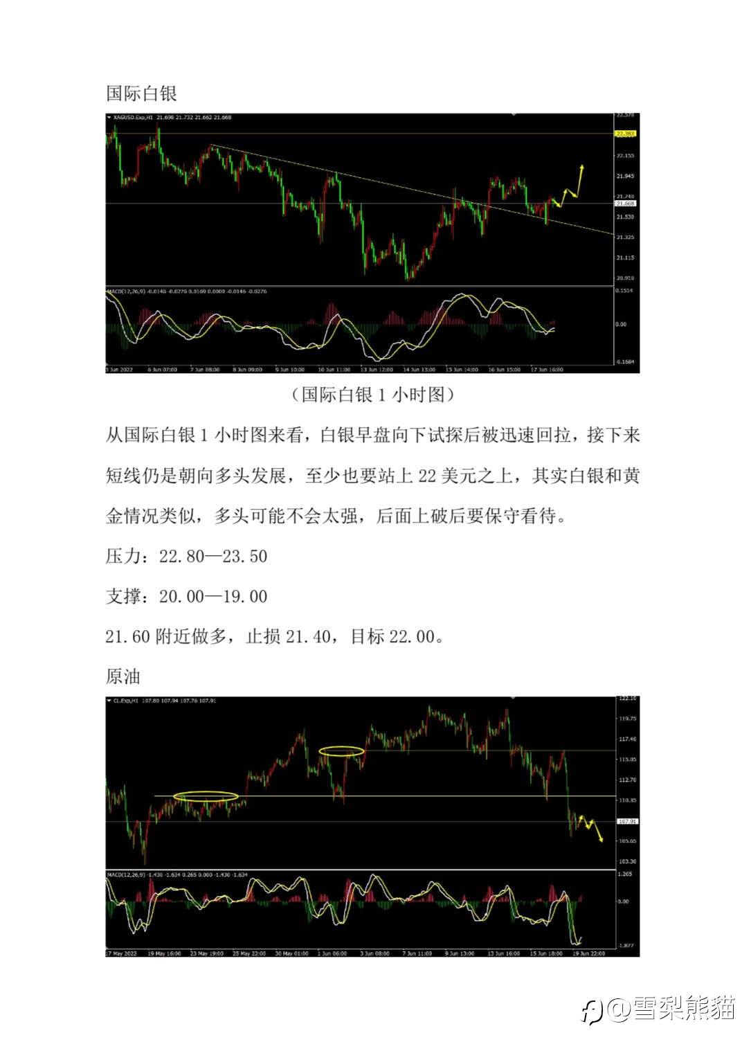 20/6拓利汇评