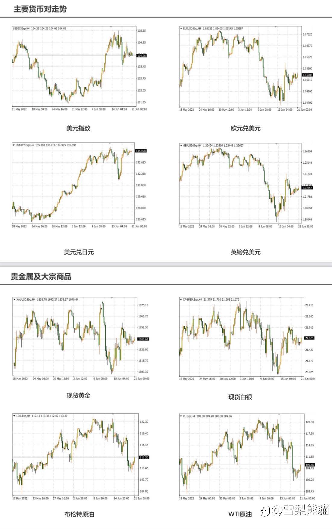 21/6拓利日报