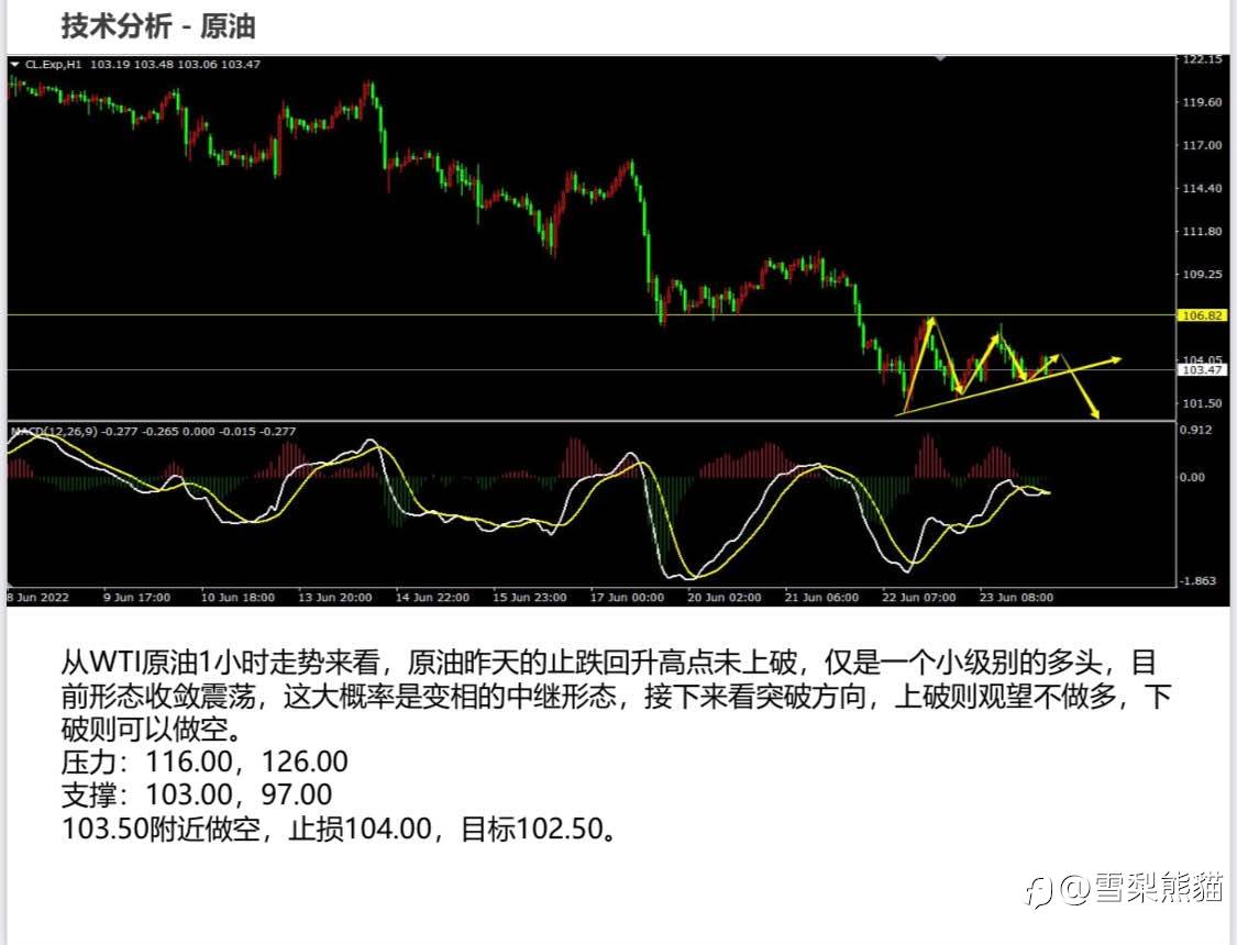 24/6拓利日报