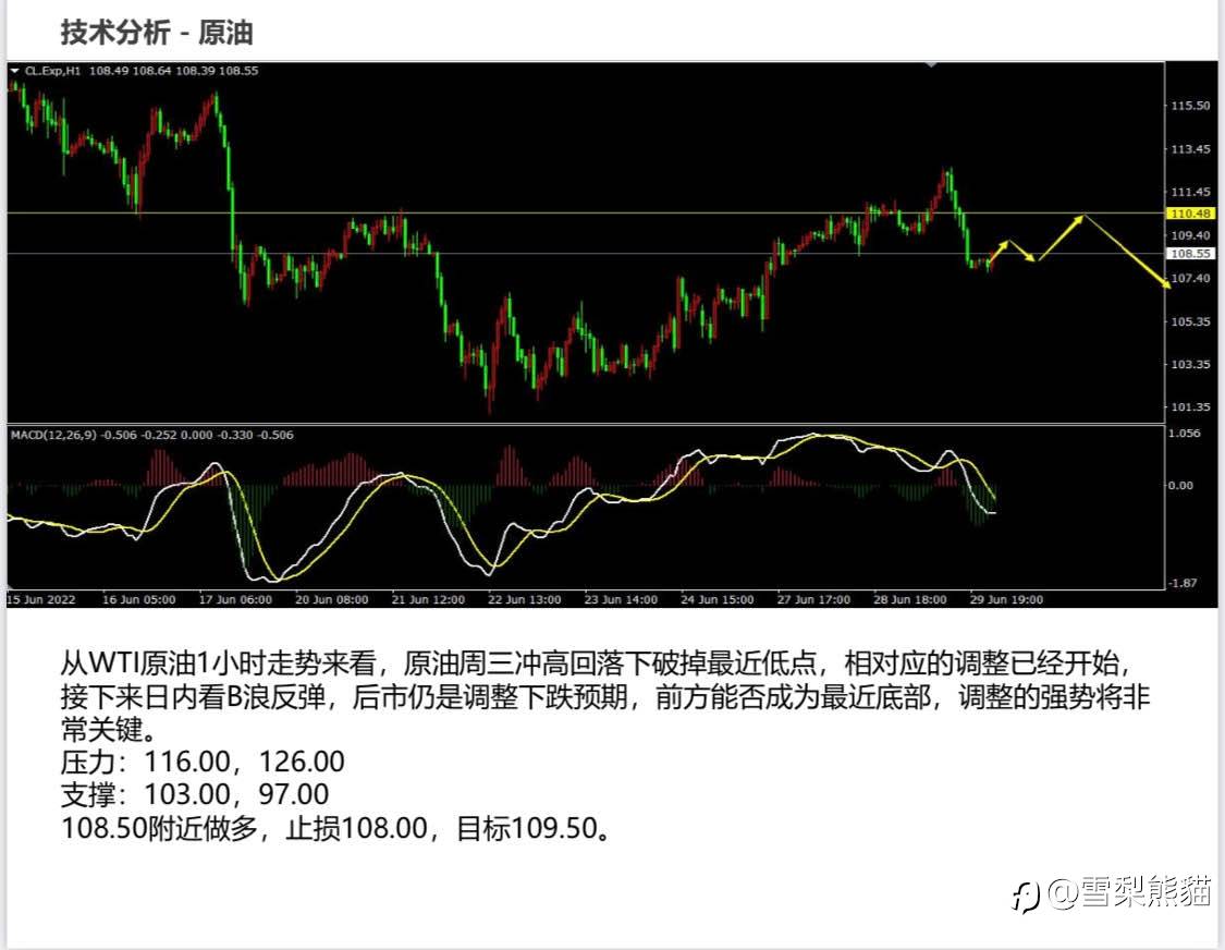 30/6拓利日报