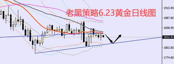 老黑策略：6.23外汇、黄金、原油分析策略