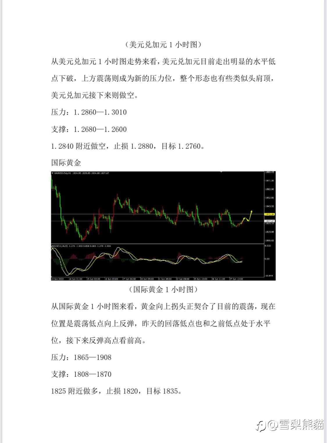 28/6拓利汇评